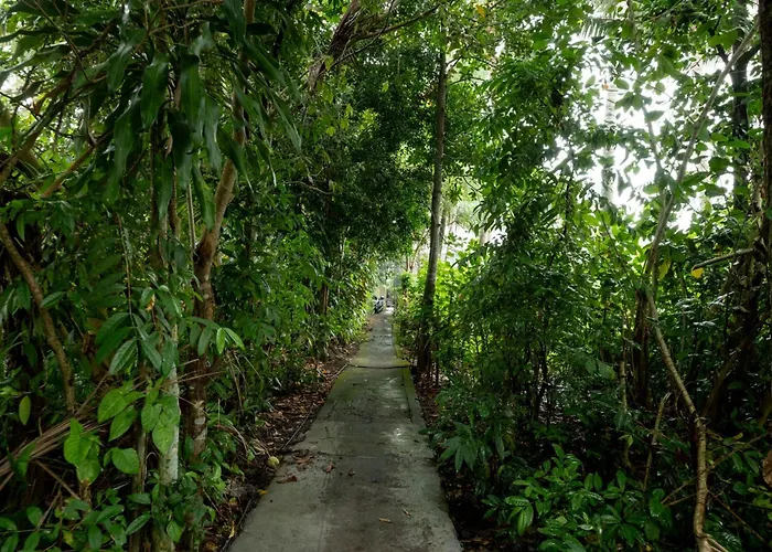 Ayu Shanti